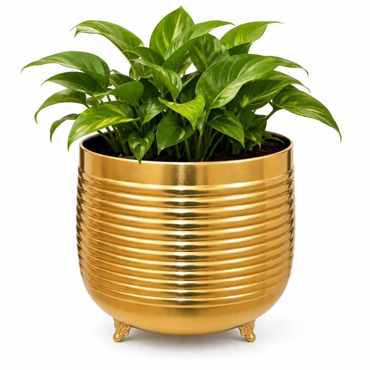 Large Round Gold Metal Planter for Indoor & Outdoor Plants | Modern Planter for Living Room, Apartment Balcony & Potio-image-40