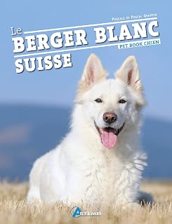 Berger blanc suisse