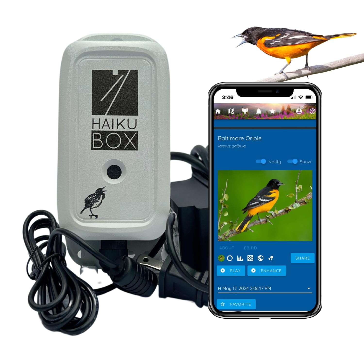 Haikubox Birdsong Identifier: Better than a camera, 24/7 backyard bird sound ID. Hawks, owls, hummingbirds, warblers, orioles, nuthatches &