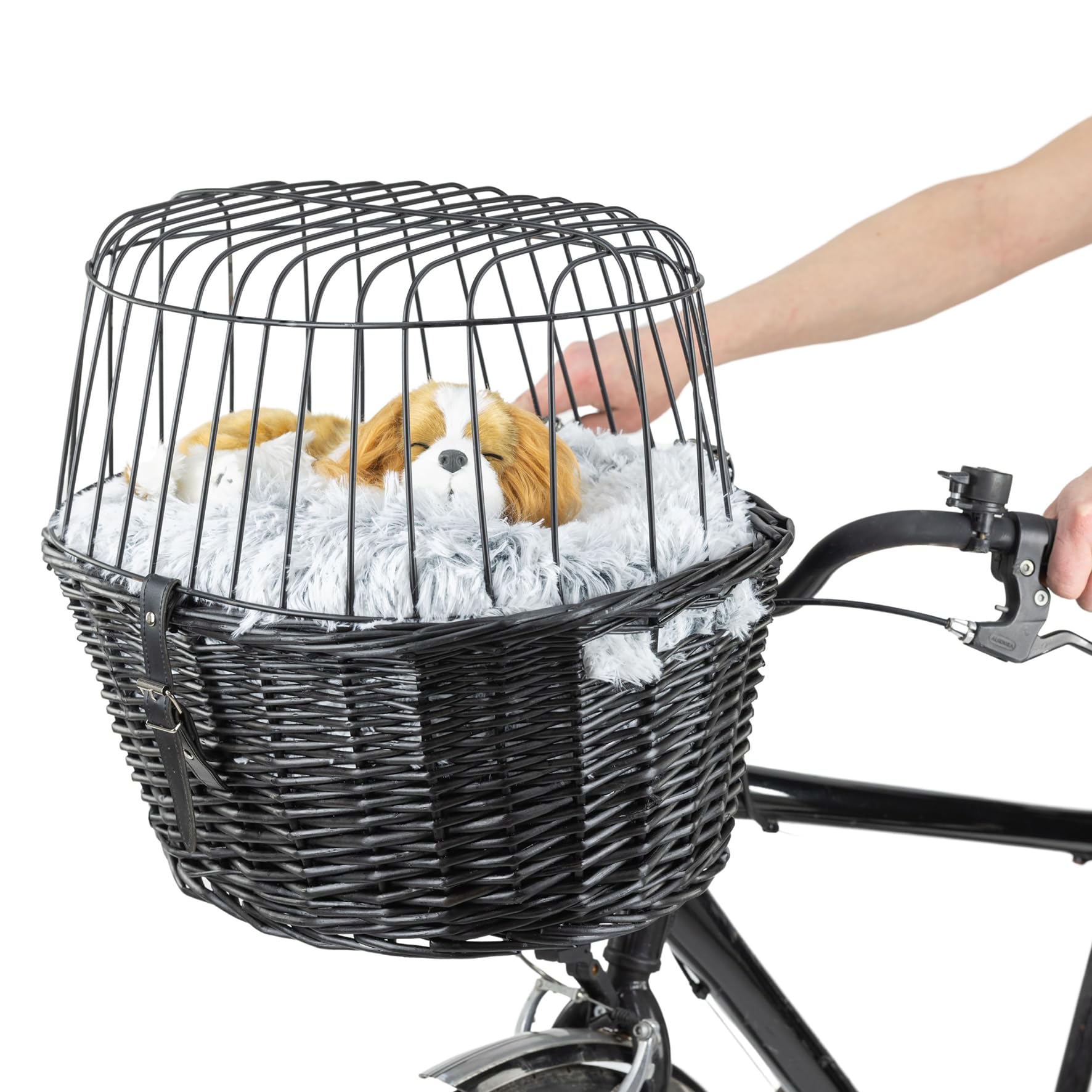 Vind fietsmand hond op - april 2026