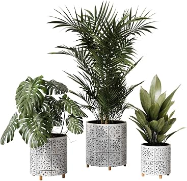 EverNest Tristan White and Black Planter with Wooden Peg Leg Stand, Plant Pot Set, SelectBase, Boho Style Print, Indoor Cachepot Home Decor Planter for Plants Set of 3