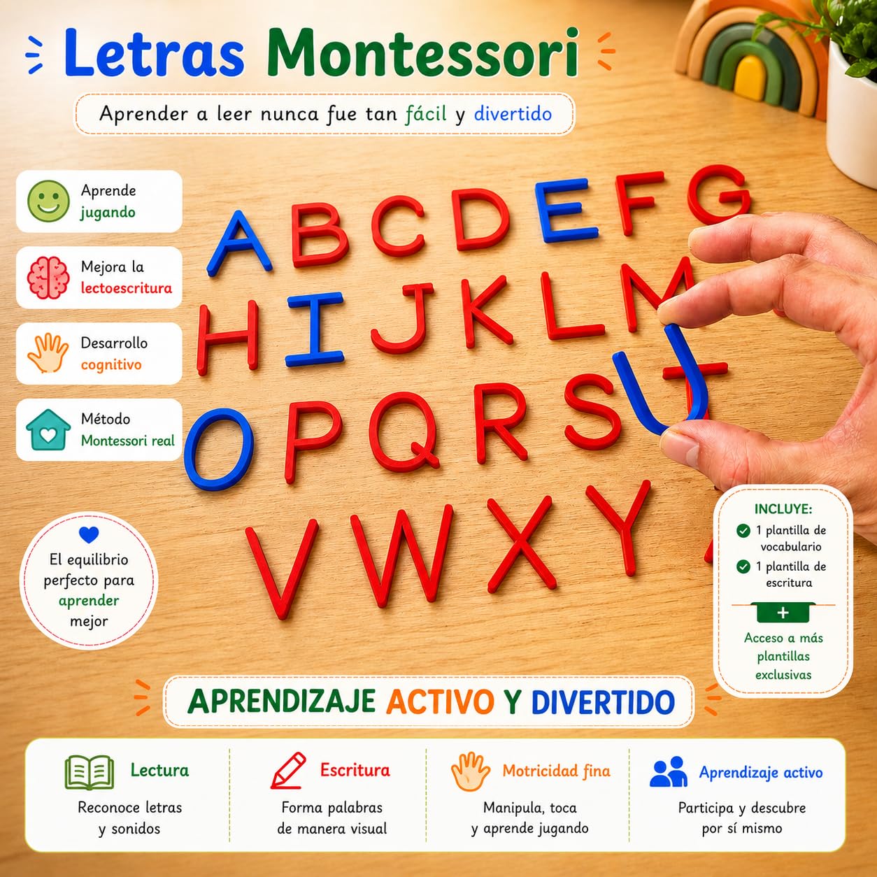 Małe litery Montessori i Majuscules - kompletny alfabet szkolny dla dzieci, gra edukacyjna do nauki czytania i pisania, alfabet 3-6 lat (PEŁNY KOMPLET) (PEŁNY MAŁY)