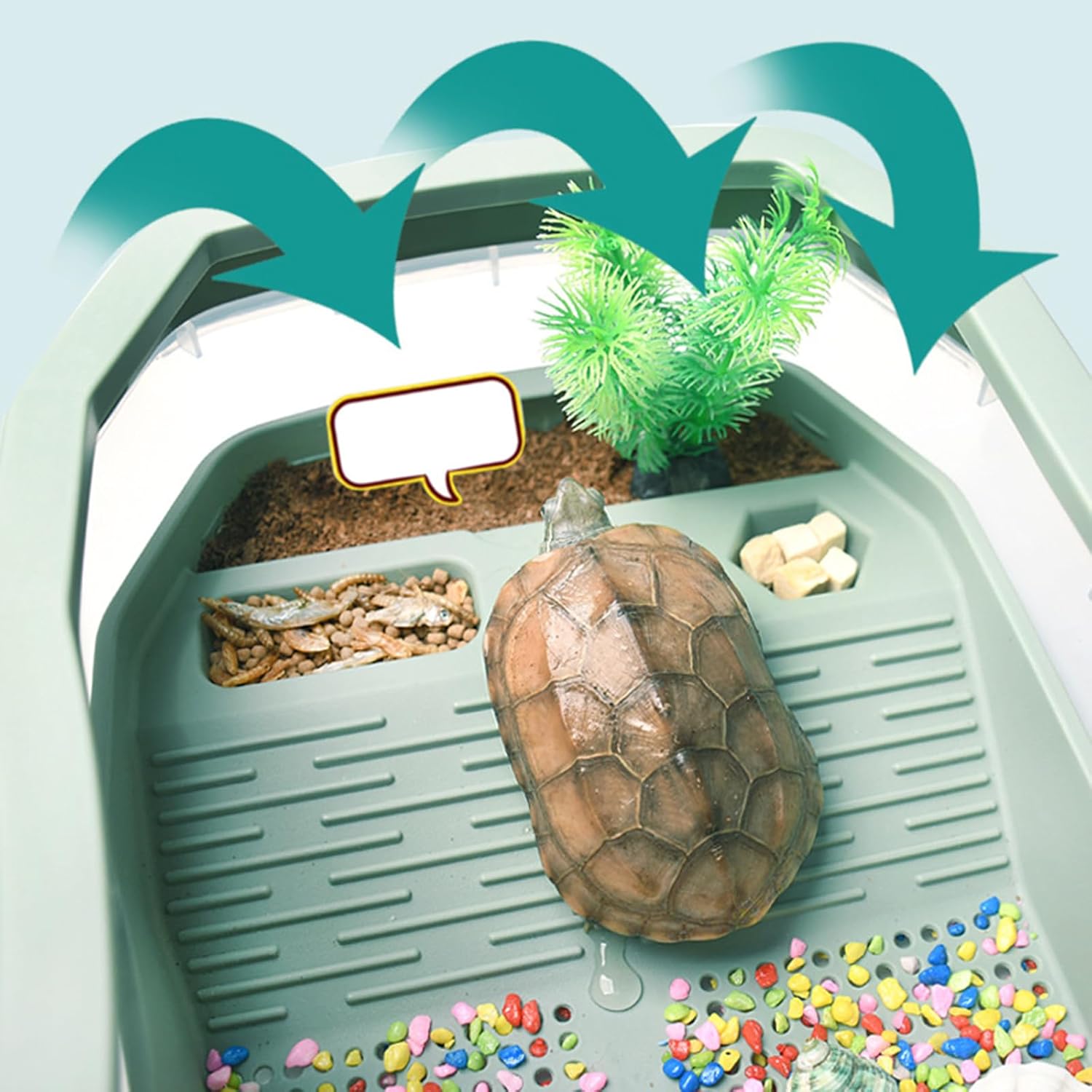 Turtle Terrariums Basin for Terrapins Small Turtle Aquarium Habitats Box with Ramps Basking Platform