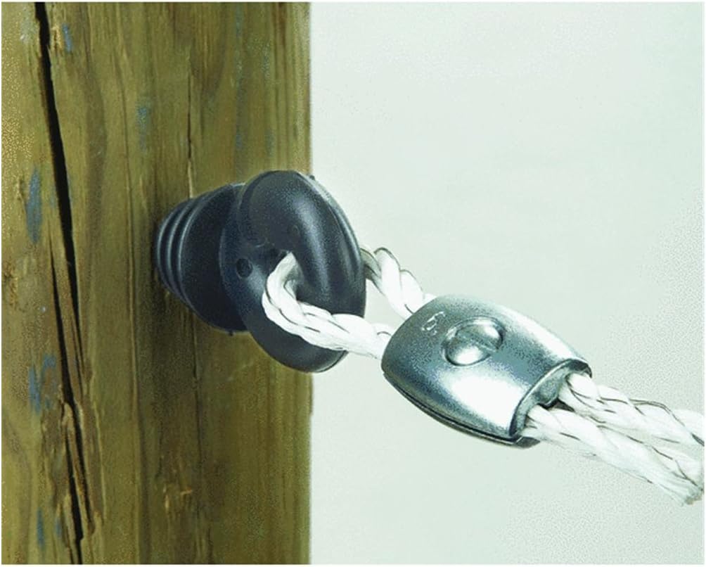 Dare Ring Insulator