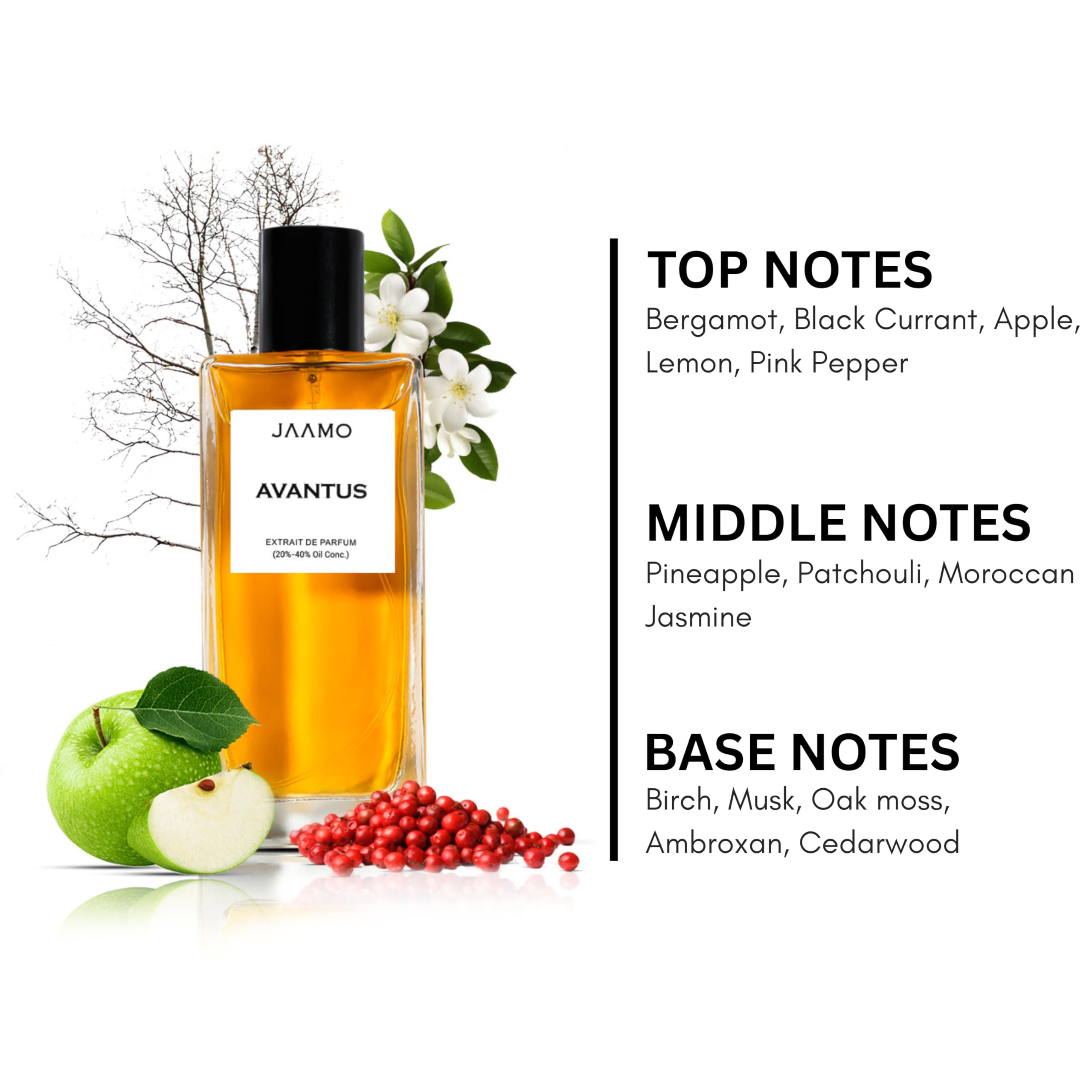 Buy JAAMO Avantus Extrait de Parfum for Men | Long-Lasting Modern