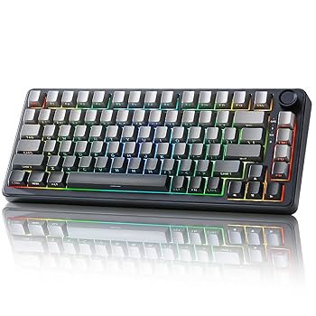 Amazon | YUNZII B75 75% 有線 メカニカルキーボード ホット