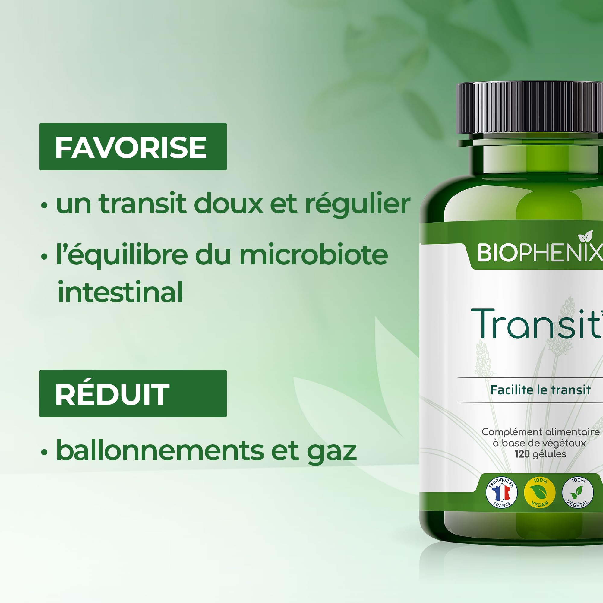 Biophénix Transit 120 Gélules - Complément Alimentaire 100% Naturel à Base de Végétaux - Casse Muette, Enzymes de Papaye Fermentée et Ispaghul - Facilite le Transit