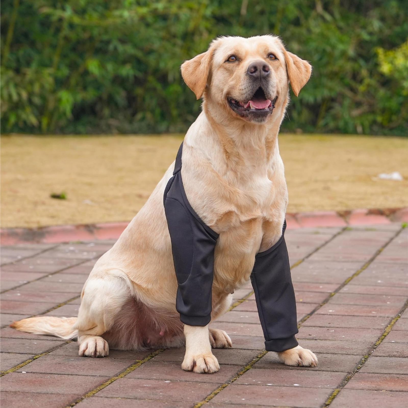 Dog Elbow Protector Pad, Dog Elbow Protector for Calluses, 2XL Dog Recovery Suit for Front Legs, Soft Recovery Sleeves with Elastic Band, Knee Brace Protector Pads for 27-42kg Dogs Stop Licking Wounds-image-0