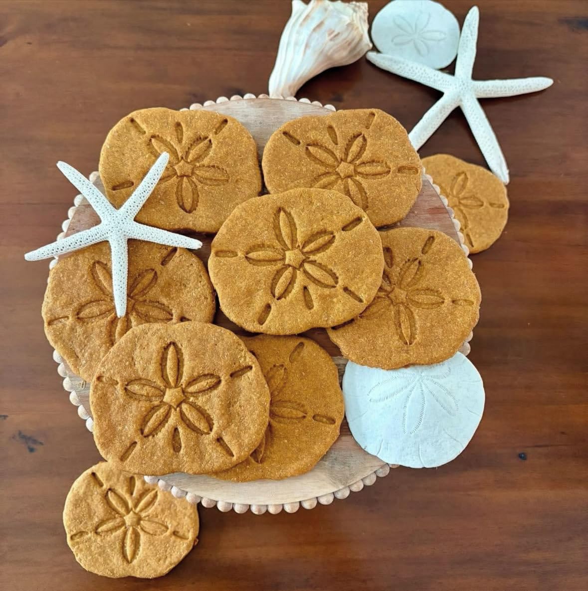 BAKERLOGY Set di 3 formine per biscotti a forma di dollaro di sabbia (dimensioni: normali, grandi, grandi e grandi) – per biscotti a tema estivi, costieri o spiaggia, ideali per fondente, impasto