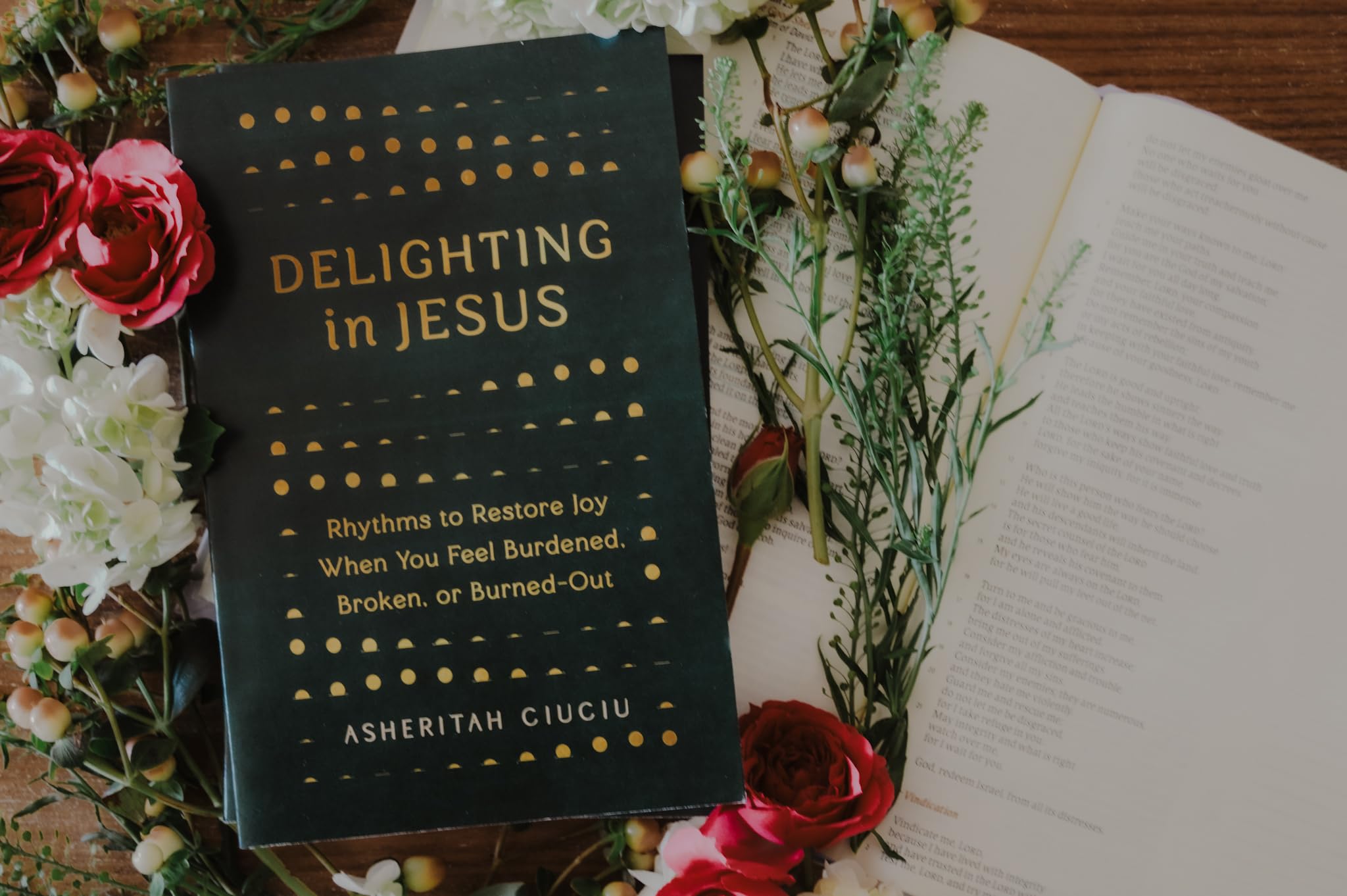 Delighting in Jesus: Rhythms to Restore Joy When You Feel Burdened, Broken, or Burned-Out - PT01
