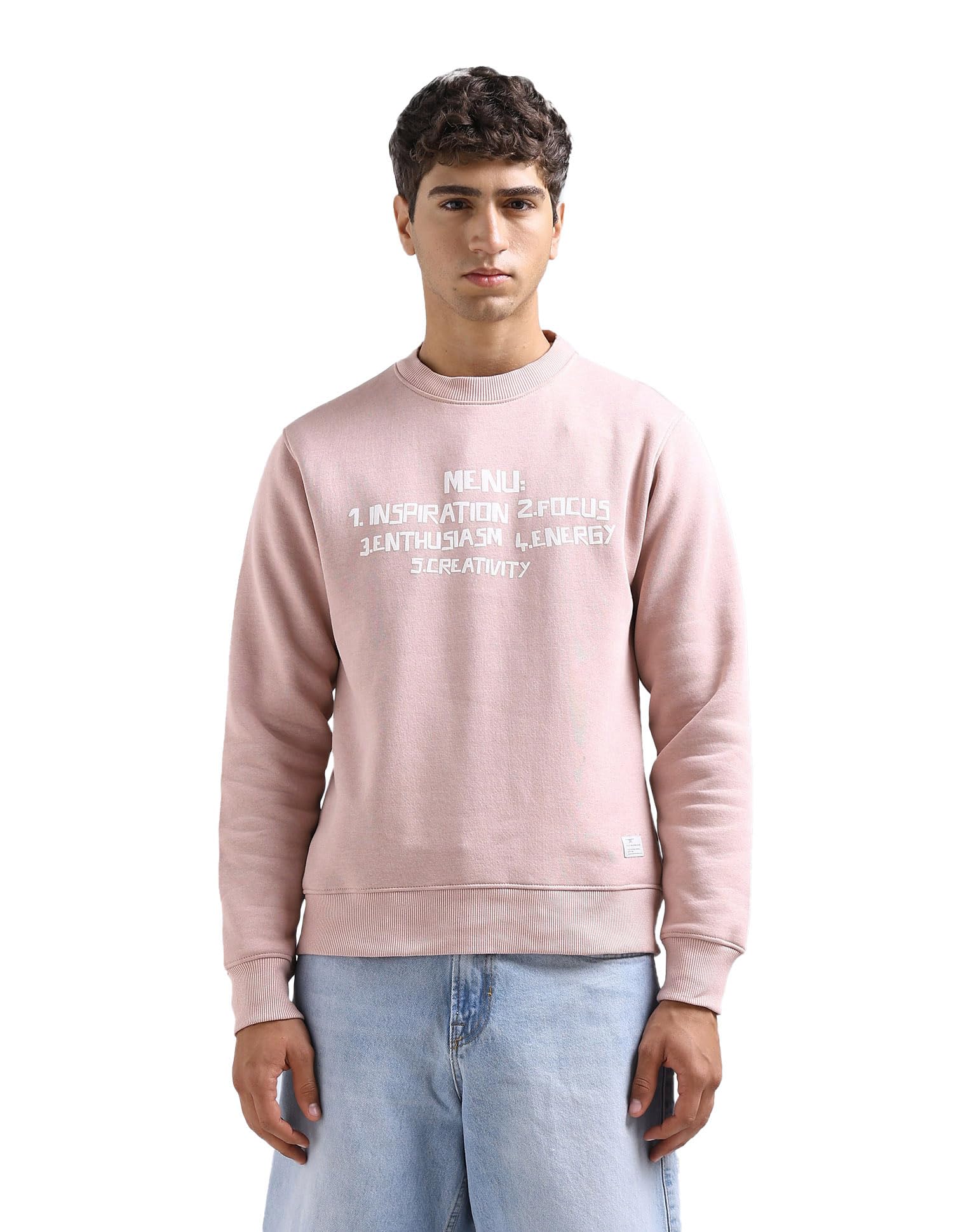 flying machine Men's Regular Fit Sweatshirt| Printed-picture-51