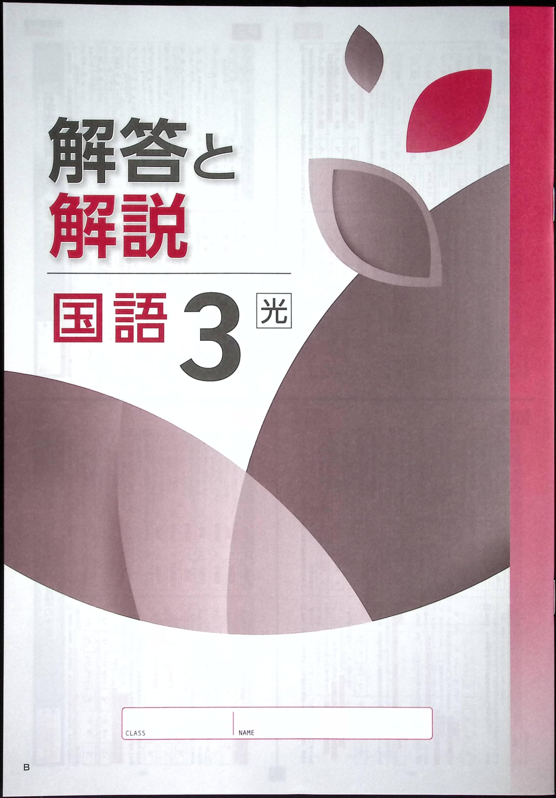 Amazon.co.jp: NEW BASIC ニューベーシック 中学生ワーク 中3 国語