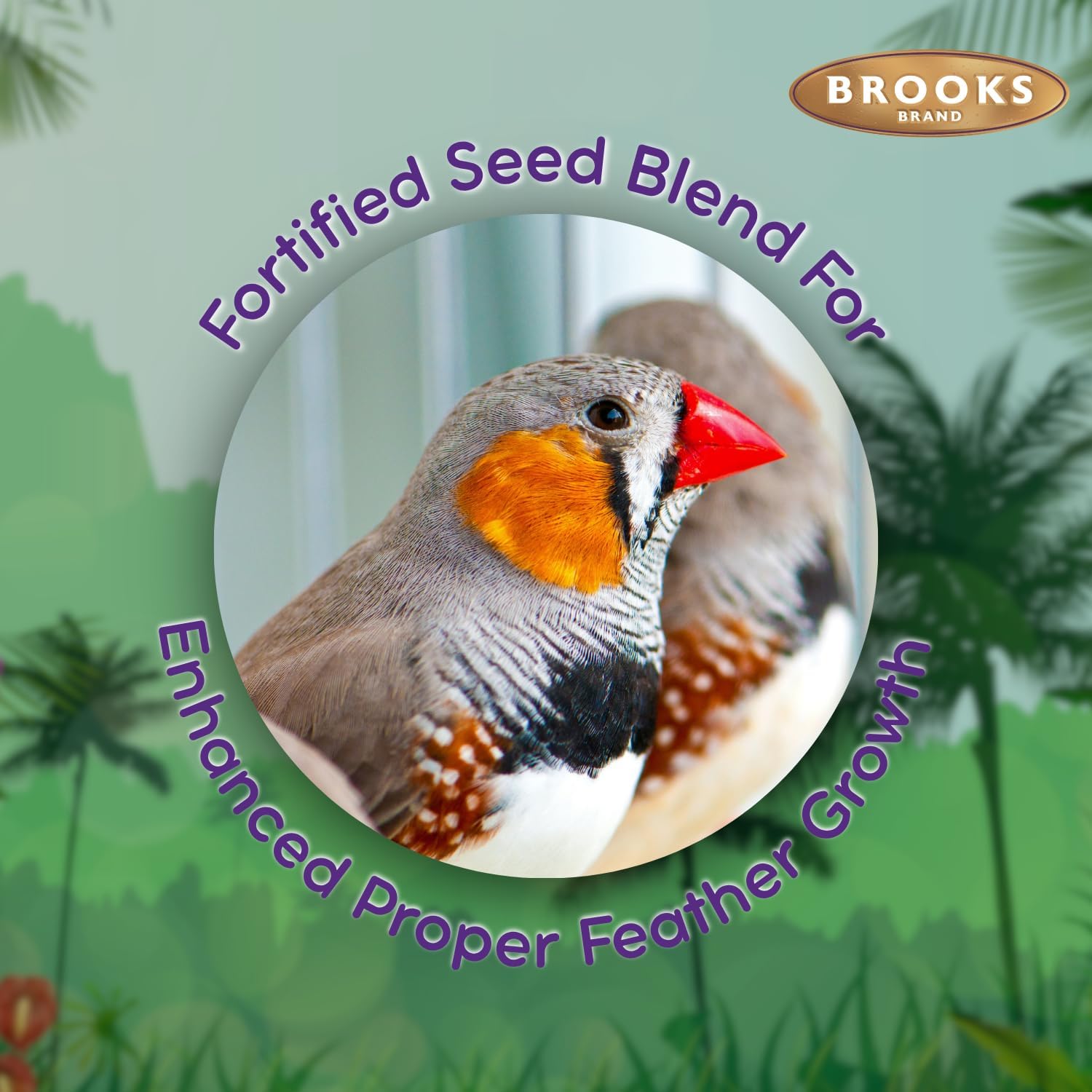 Brooks Brand Grains Plus Finch Blend Bird Food, Nyjer Seeds, Finches Bird Seed Mix, Gold Finch Niger Seeds for Birds, Finches Food for Indoor Birds (4.5 lbs)
