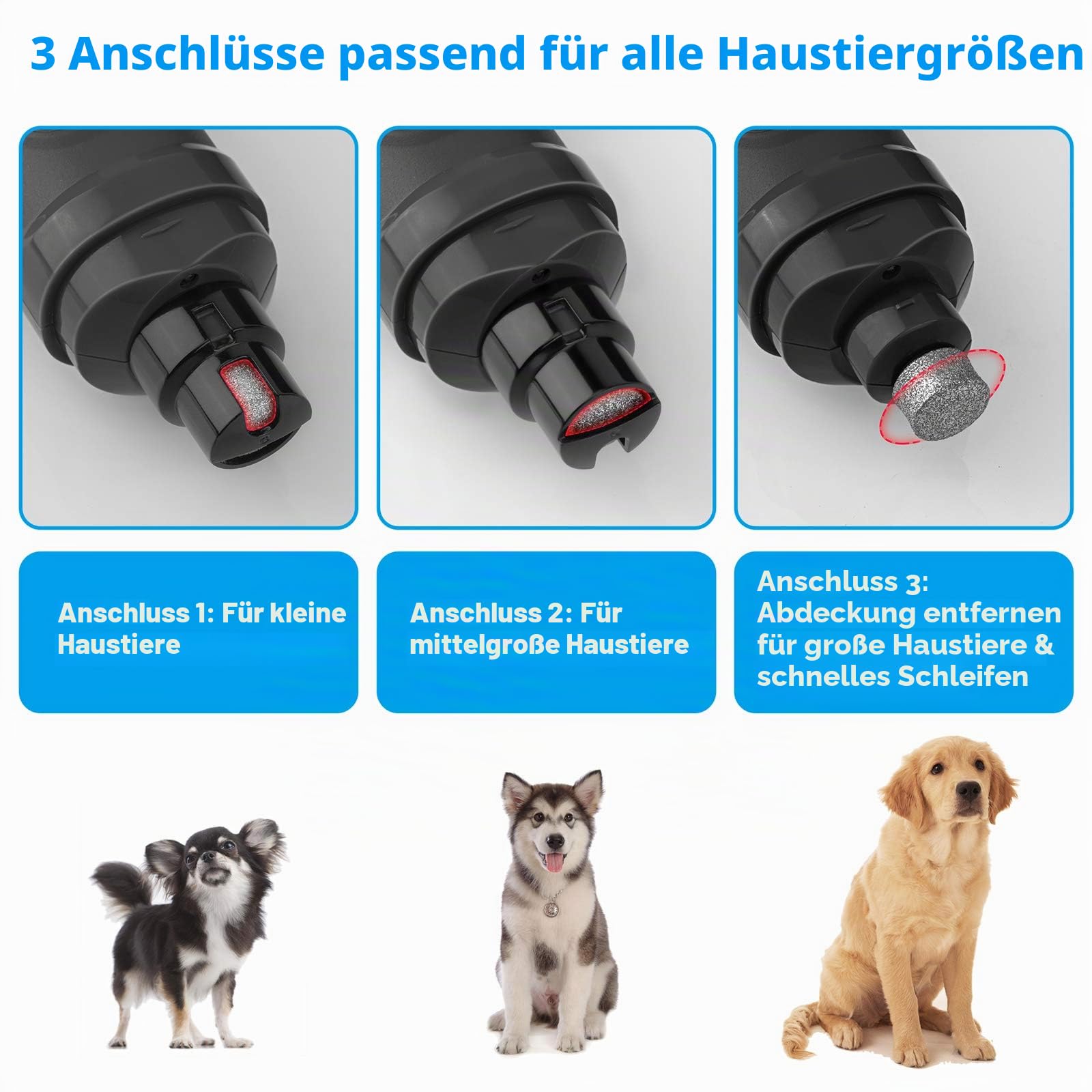 Casfuy Krallenschleifer für Hunde mit 2 LED-Leuchten – 2 Geschwindigkeiten, leiser, leistungsstarker elektrischer Krallenschneider für kleine, mittelgroße Hunde und Katzen