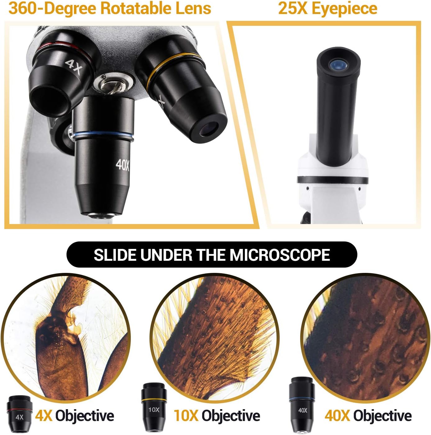 Get Discount 70% Price BNISE Microscope for Adults and Kids, 100X-1000X Magnification Lab Compound Monocular Microscopes with Illumination Dual LED, Biological Microscope with Microscope Accessories Set for Beginners