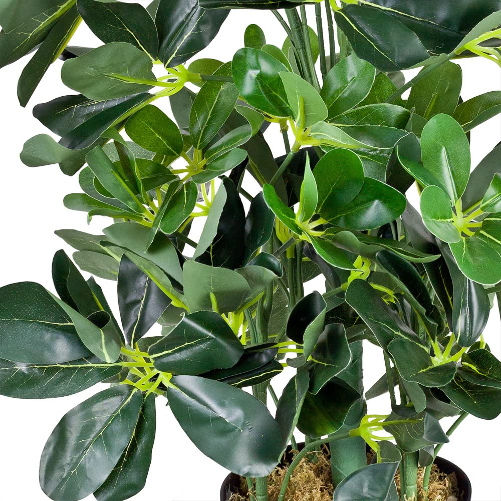 Amazon.de: Decovego Schefflera Kunstpflanze, knstliche Strahlenaralie 60  cm, Robustes Kunststoffmaterial, fr Innenbereiche, Pflegeleichte Deko