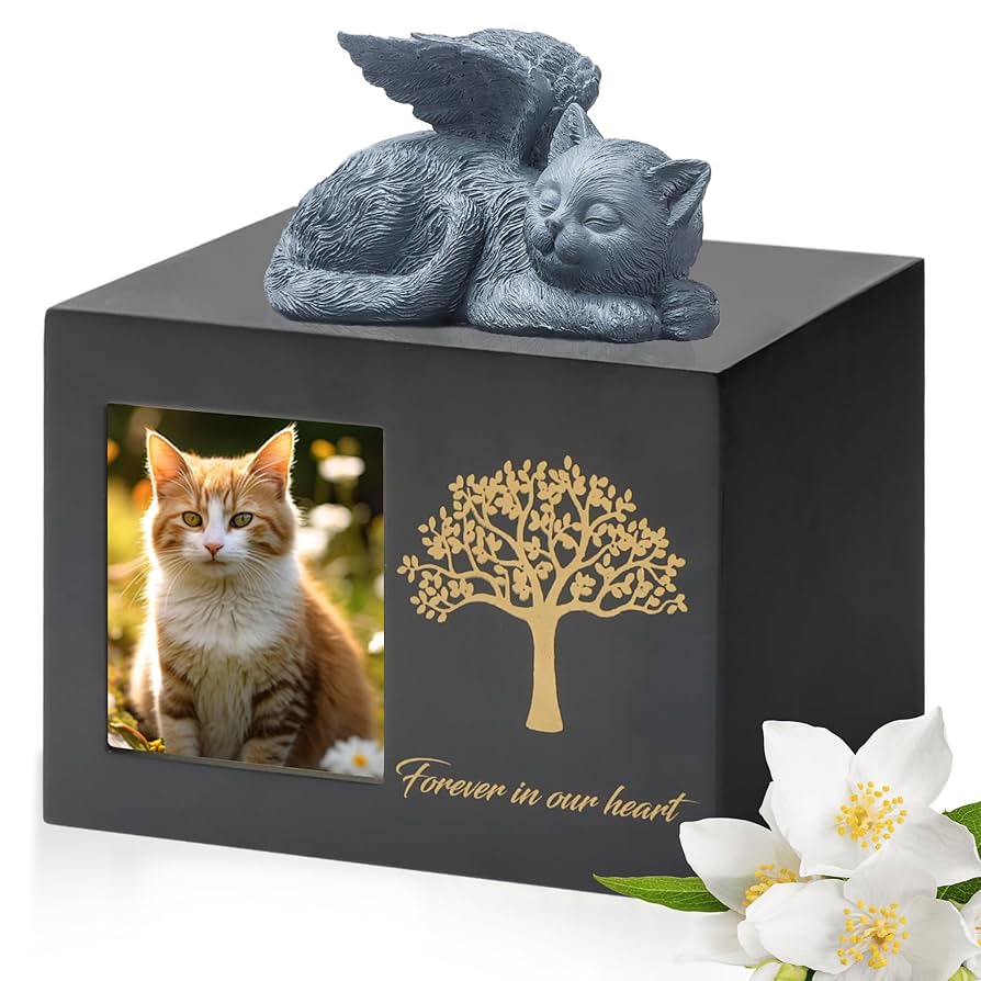 Pet Urn Wooden For Cat Ashes - Medium Size Memorial Box With Angel