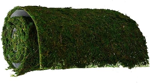 Miniatura 9 de Byher Camino de mesa de musgo seco para decoración de fiestas y jardín, verde oscuro (12 x 36 pulgadas)