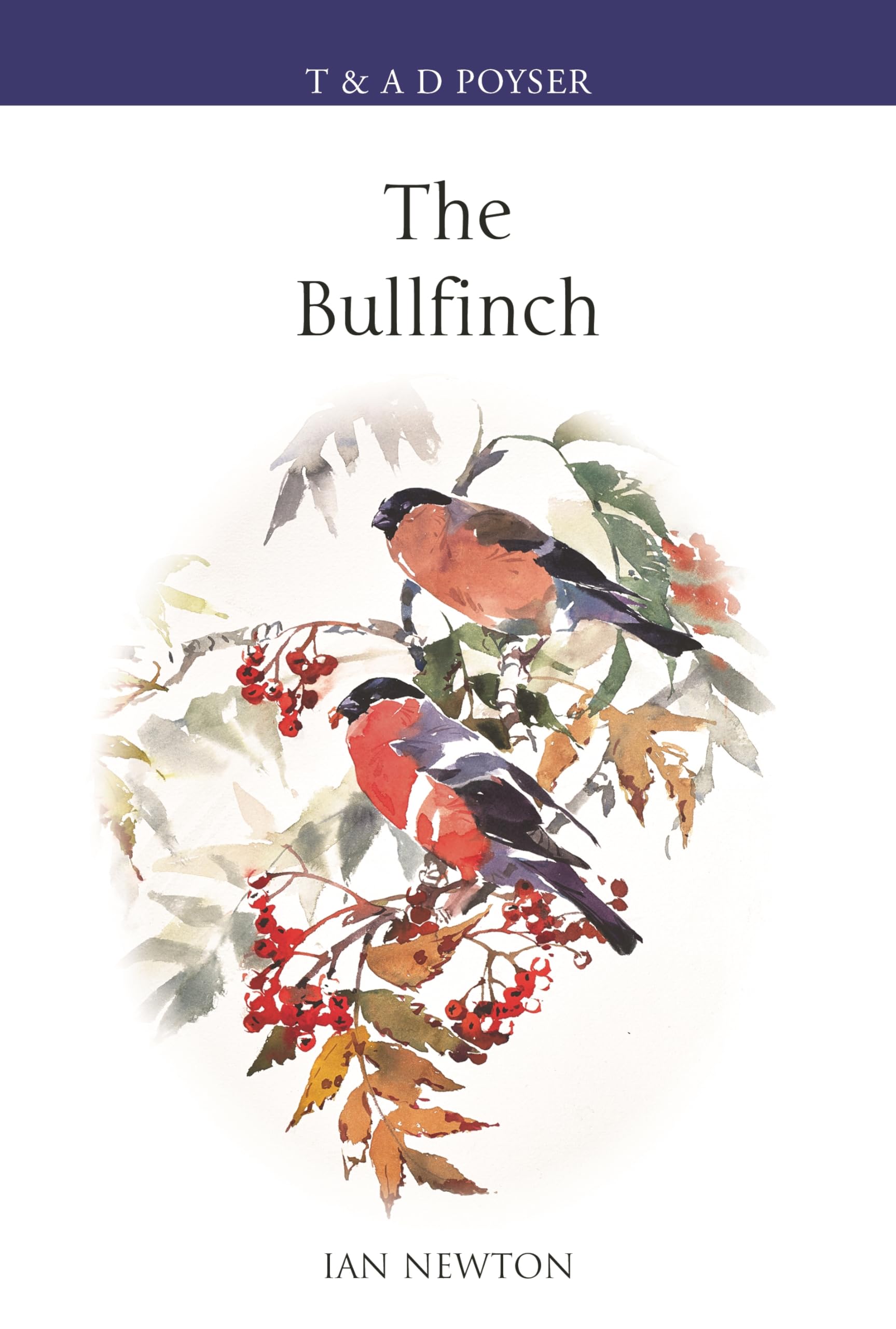The Bullfinch (Poyser Monographs)