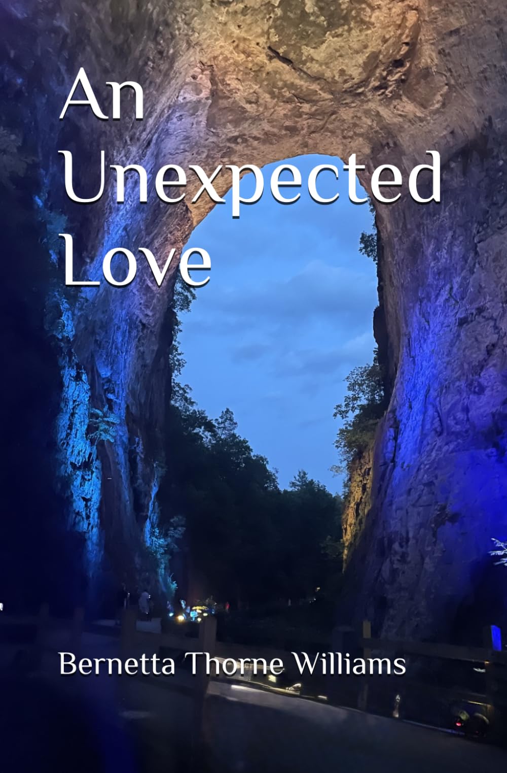 An Unexpected Love