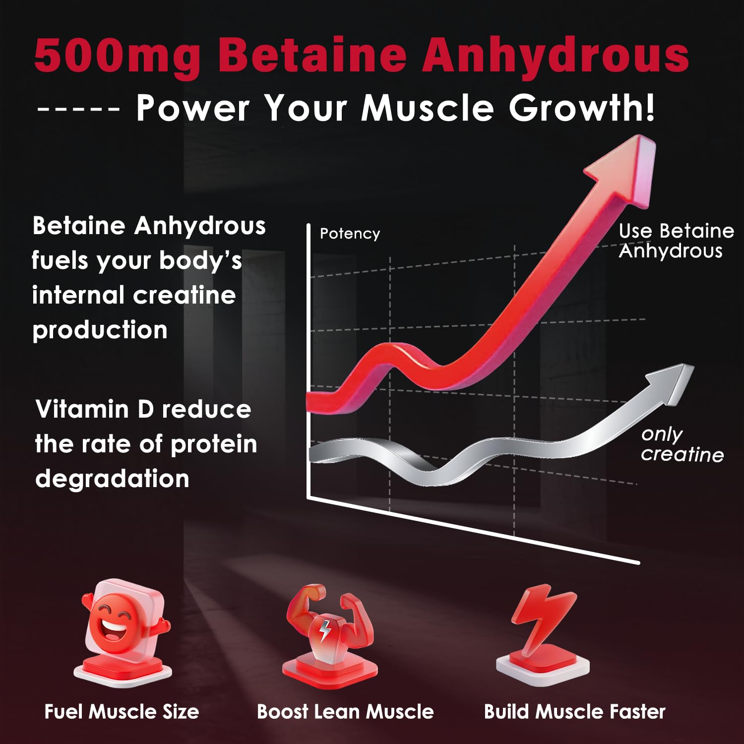 ZEBORA Micronized Creatine Monohydrate Powder for Women & Men, 75 Servings — Amazon image 4