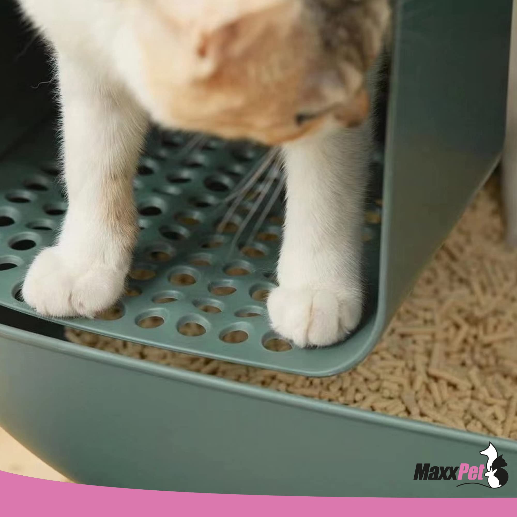 MaxxPet Bac à Litière Chat - Maison de Toilette pour Chat - Compartiment Inférieur Amovible pour Un Nettoyage Facile - 60x38x45cm - Vert