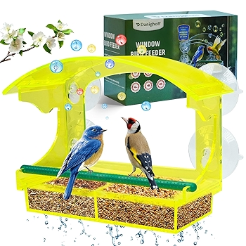 透明窗户鸟 feeder