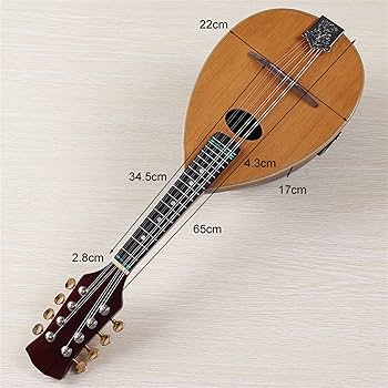 木製アーチトップ手工品マンドリン 8弦 ケース付き 61Mw4v5oJhL.jpg_BO30,255,255,