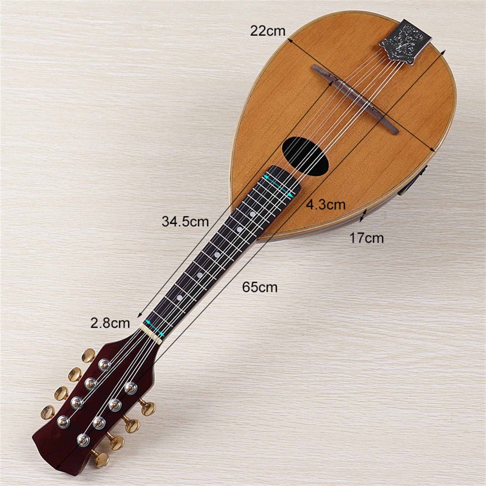 Amazon.co.jp: マンドリン 手作りマンドリンソリッドスプルース