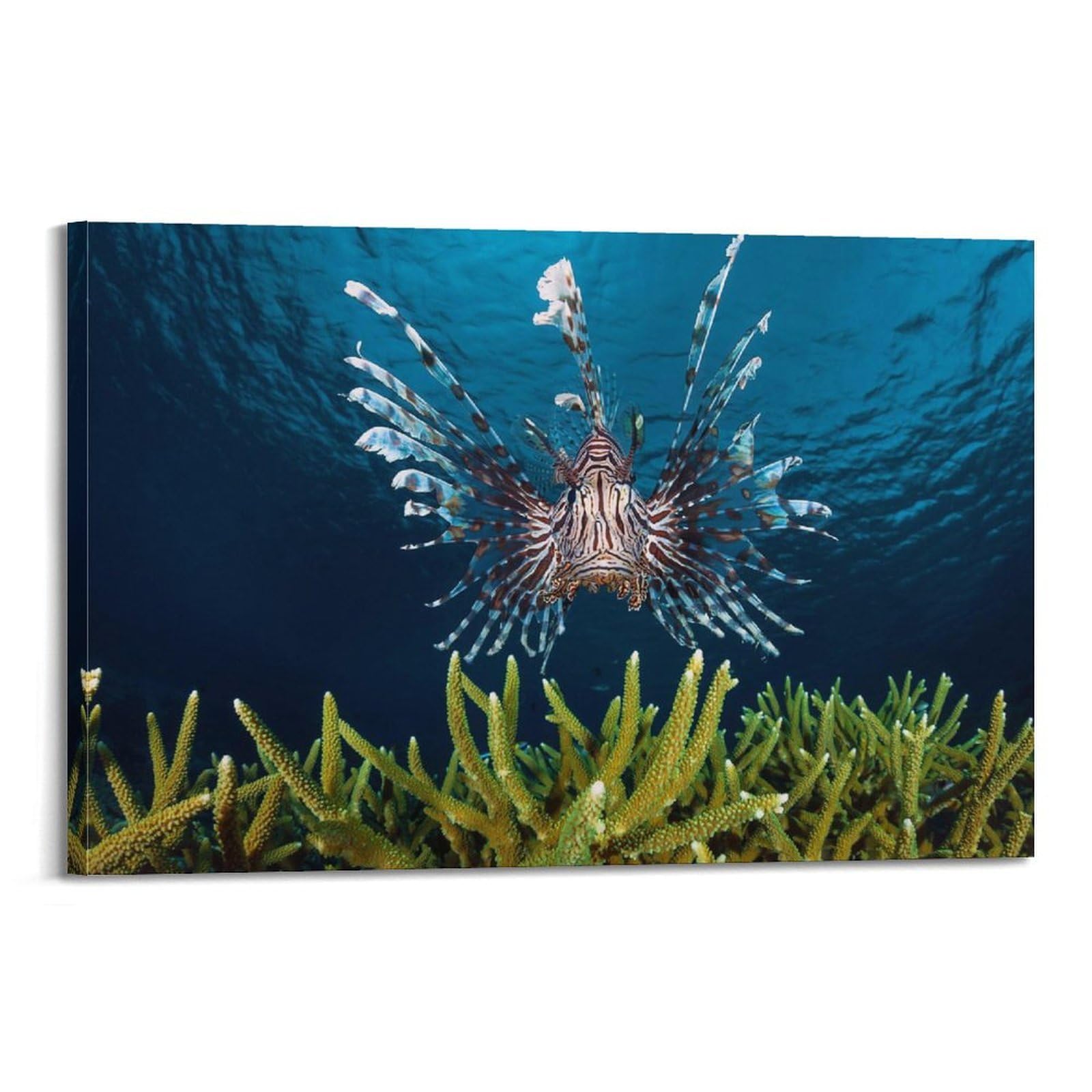 CXHJCA Sea Life Poster LionFish Poster Decorative Painting Canvas Wall Posters And Art Picture Print Modern Family Bedroom Decor Posters 20x30inch(50x75cm)
