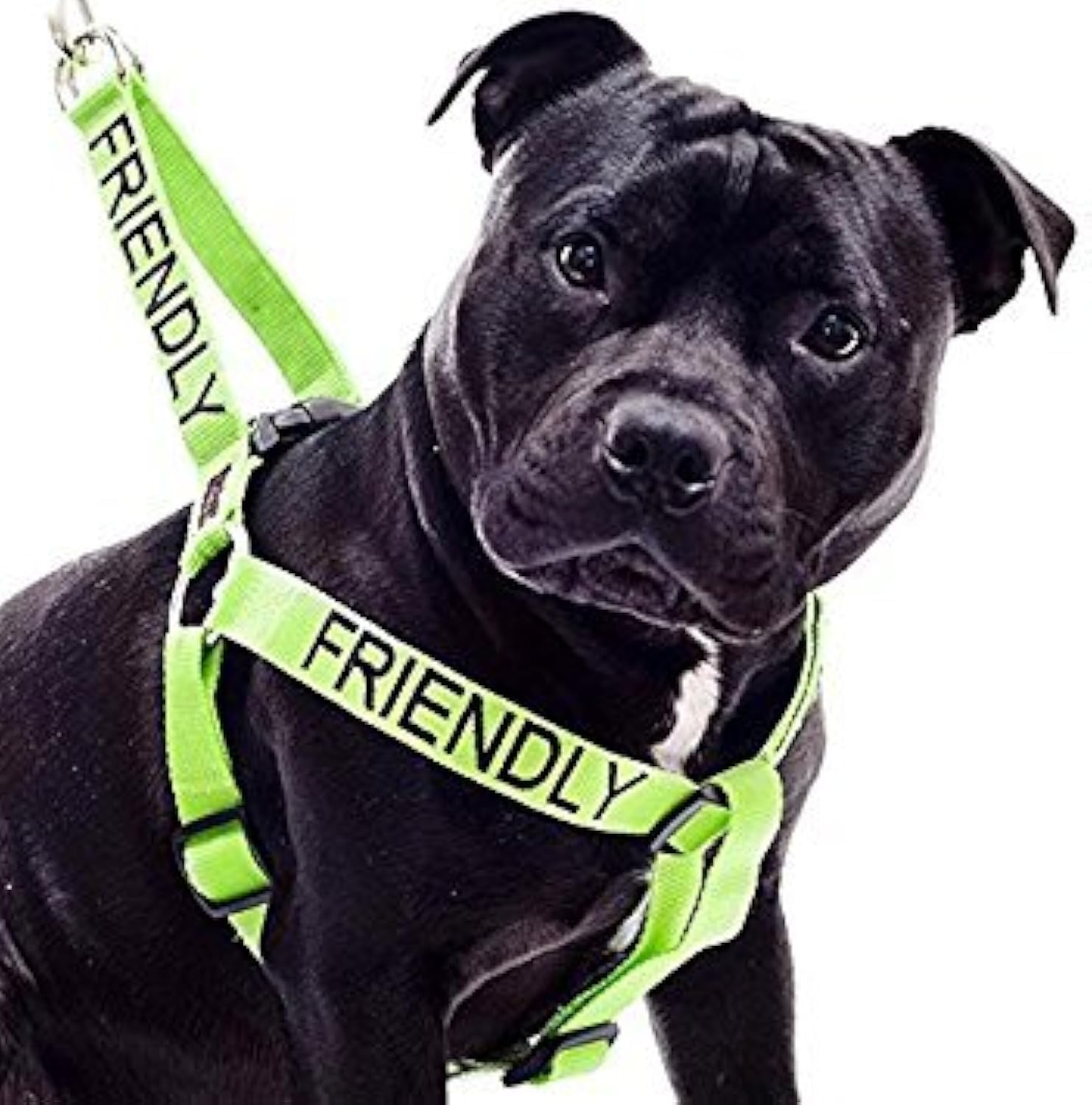Friendly (Known as Friendly to All) Green Colour Coded Non Pull L-XL Dog Harness Prevents Accidents by Warning Others of Your Dog in Advance