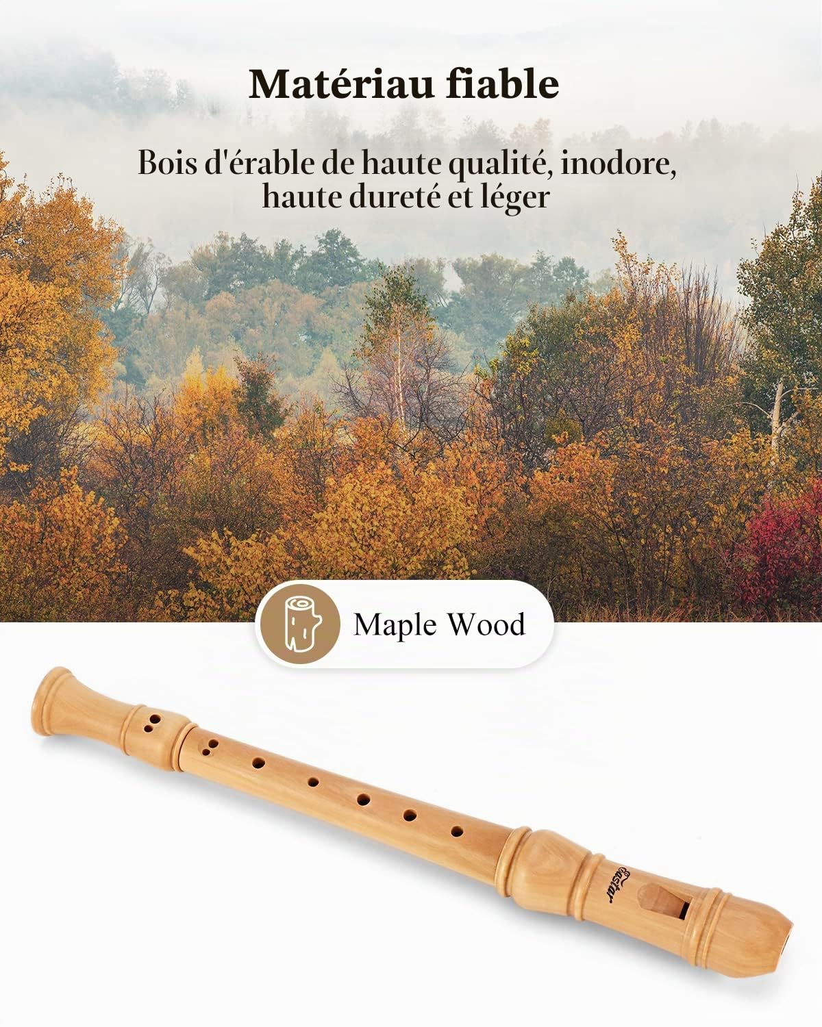 Eastar Flûte à bec soprano pour débutants, manche baroque, clé de do, en bois d'érable, flûte à bec en trois parties avec étui rigide, tableau des doigtes, ERS-31BM