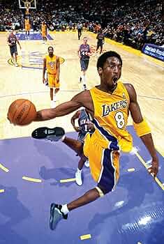 んば神戸ブライアント nba kobe bryant Amazon.co.jp: 神戸ブライアントダンキング スポーツ