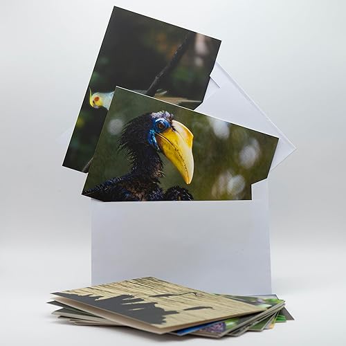 Miniatura 7 de POTENCIALIDADES Tarjetas y sobres estacionarios de pájaros, tarjetas de felicitación de 4 x 6 pulgadas, surtido para todas las ocasiones, juego de