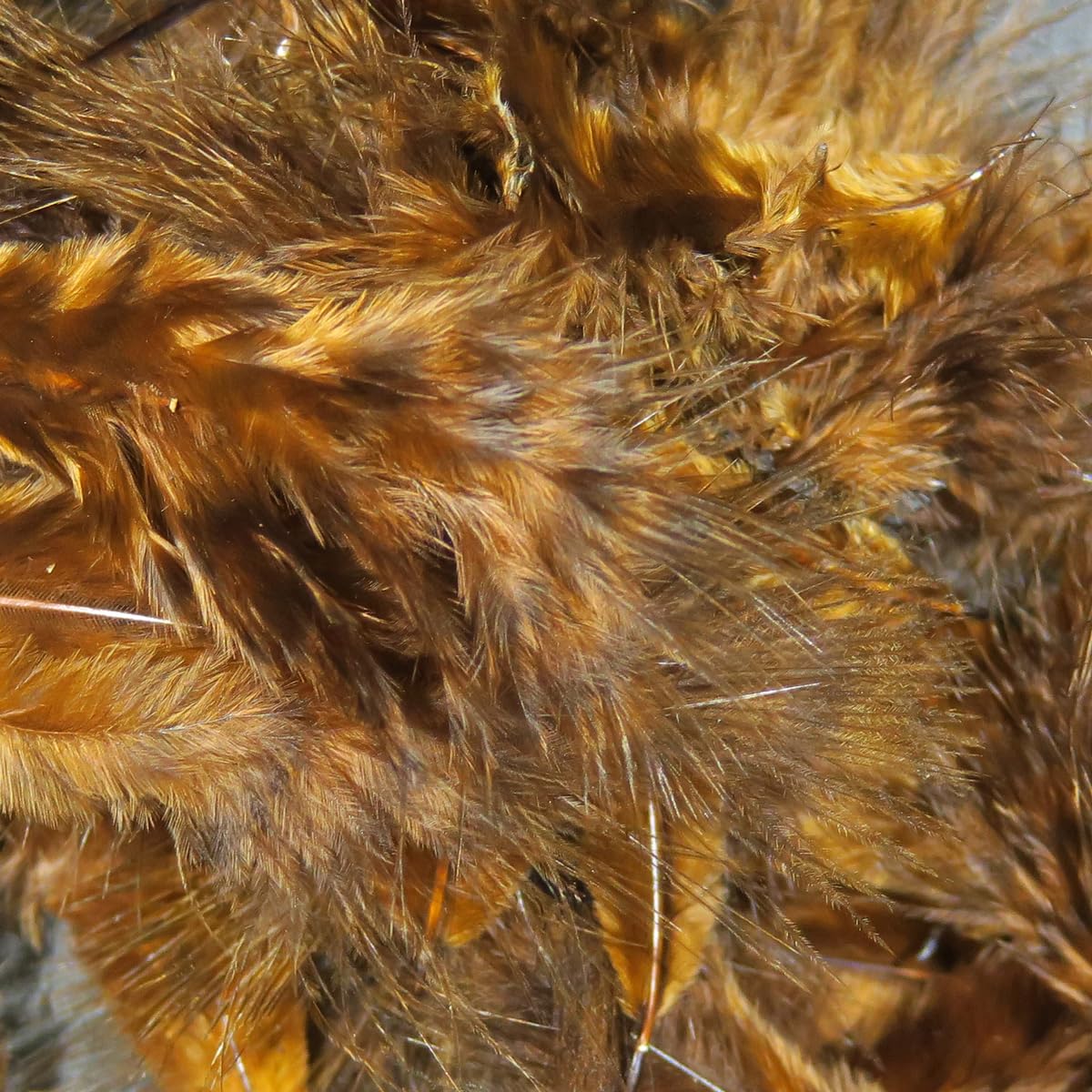 Hareline Fly Tying Grizzly Marabou – Barred Marabou Feathers for Fly Tying Streamers, Woolly Buggers & Leeches (Brown)