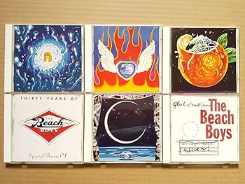 The Beach Boys Good Vibrations ボックスセット The Importance Of The Beach Boys' Good Vibrations Box Set