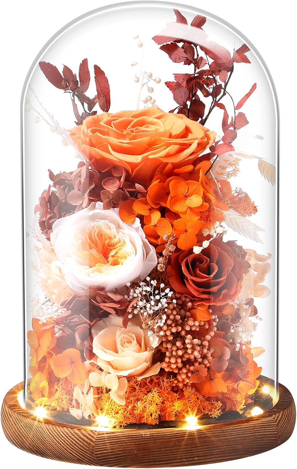 Eternal Rose Sunset Orange Flower Preserved Long Lasting Stable Color Natural Material Symbol of Everlasting Love for Wife Mothers Select Anniversary Rose