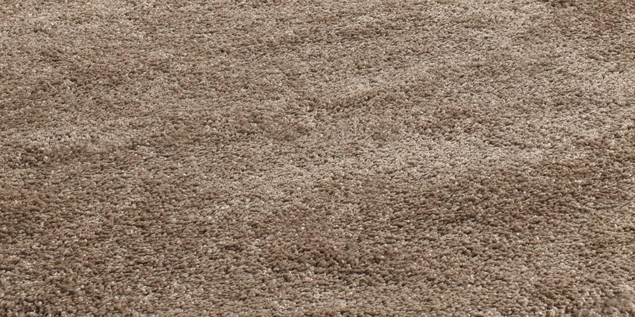 Soft Fluffy Shag Area Rugs for Living Room, Shaggy Floor Carpet for Bedroom, Girls Carpets Kids Home Decor Rugs, Cute Luxury Non-Slip [Size 2×3 feet (Runner)].