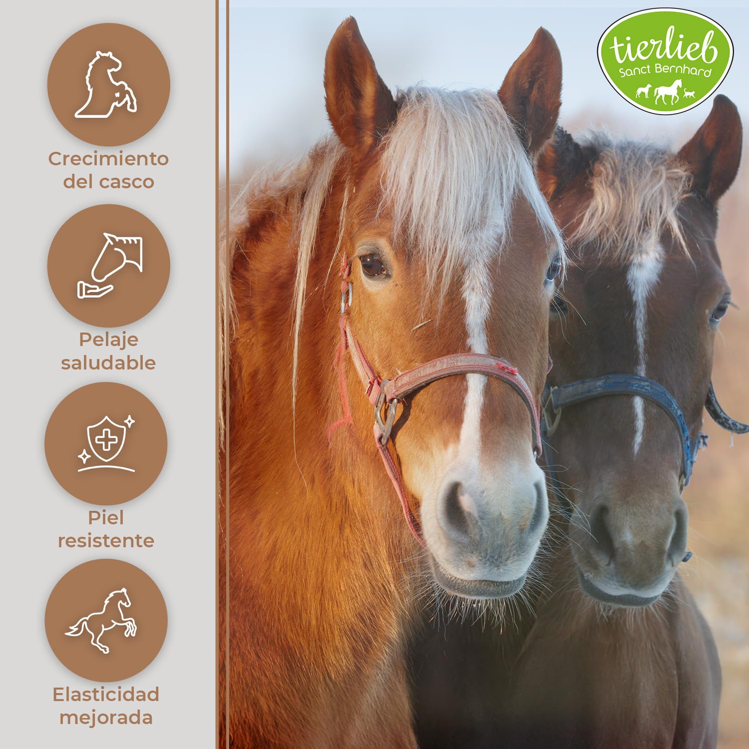 Biotina para Caballos – Pastillas para Cascos Fuertes y Flexibles, Mejora de Piel y Pelaje, Vitamina B8 para Equinos – 50 Días, Fácil Dosificación