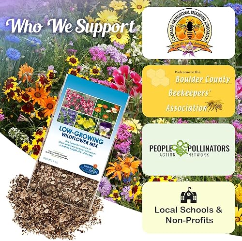 Miniatura 6 de Mezcla de semillas de flores silvestres de bajo crecimiento, flores cortas de 1 oz, 6 a 12 pulgadas, mezcla natural sin OMG de semillas de jardín