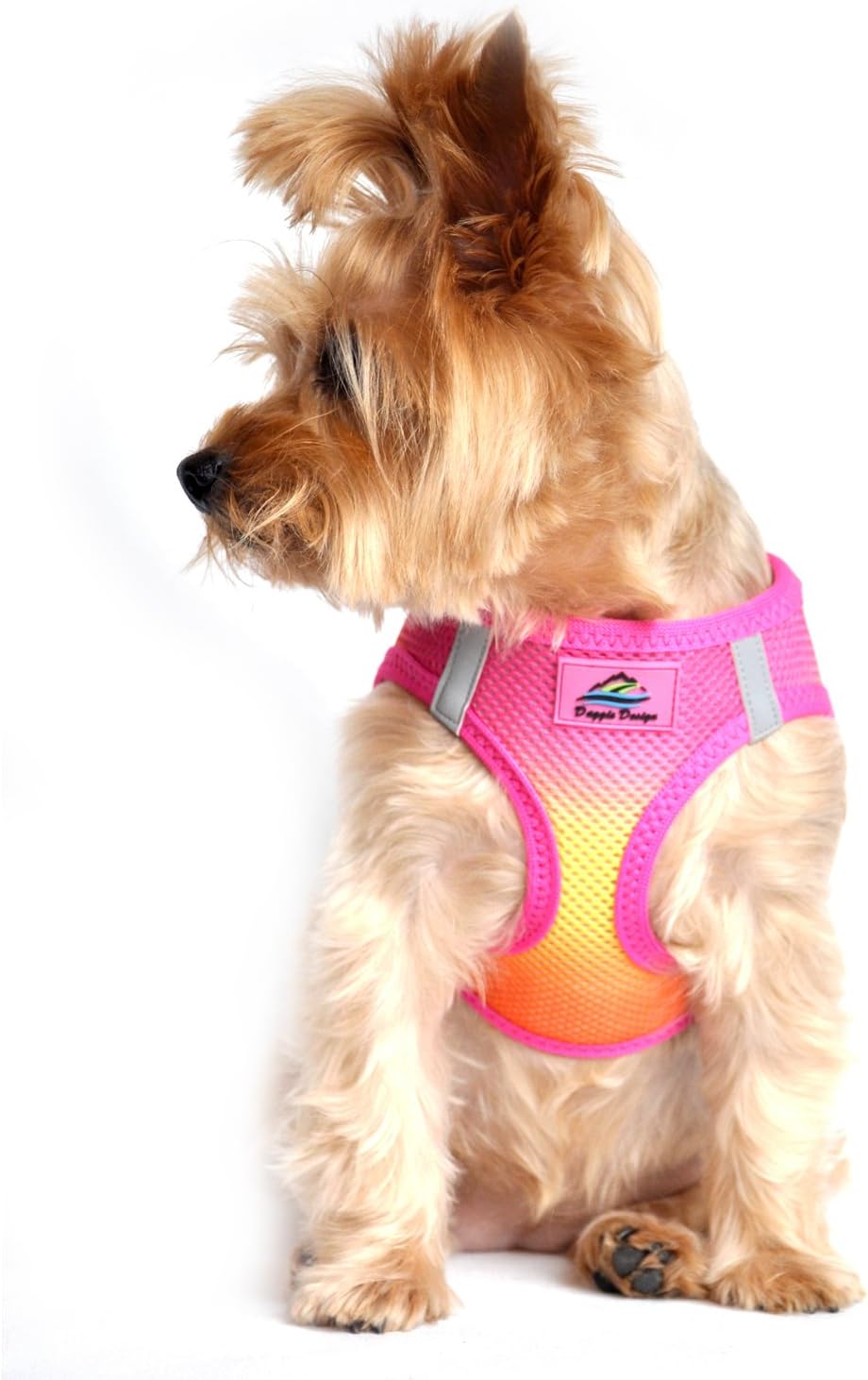 Doggie Design Dog Harness - No Choke Harness for Pets, Dog Vest, Mesh Polyester, Simple Step in and Go Design, Reflective Vest for Dogs - Raspberry Pink and Orange, XXS
