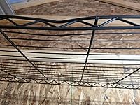 Review Image by Adobe Gardener Adobe Gardener