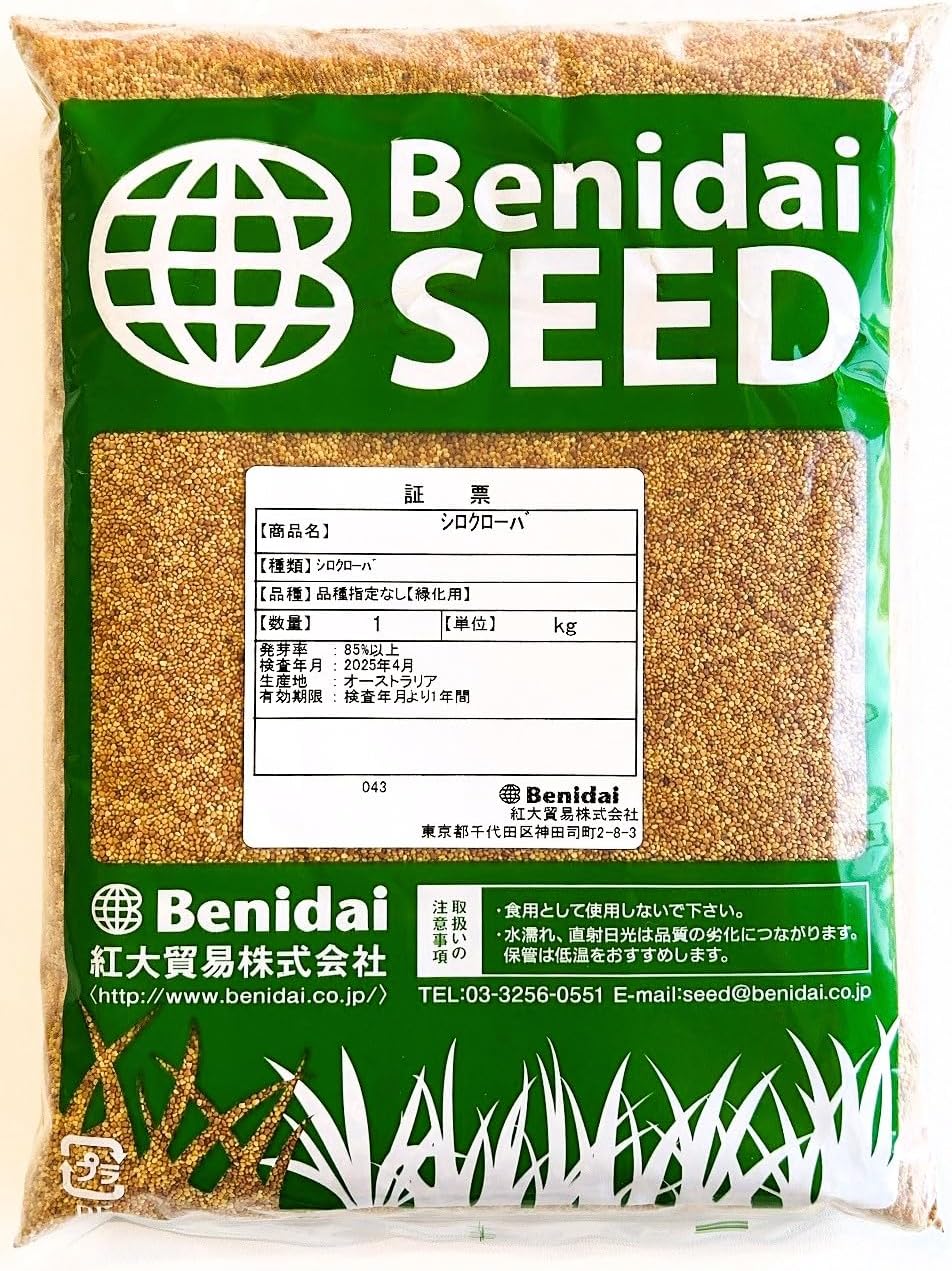 白木盆栽園 楓 盆栽 樹高24センチ 楓カエデ紅葉モミジ欅ケヤキ実物観葉