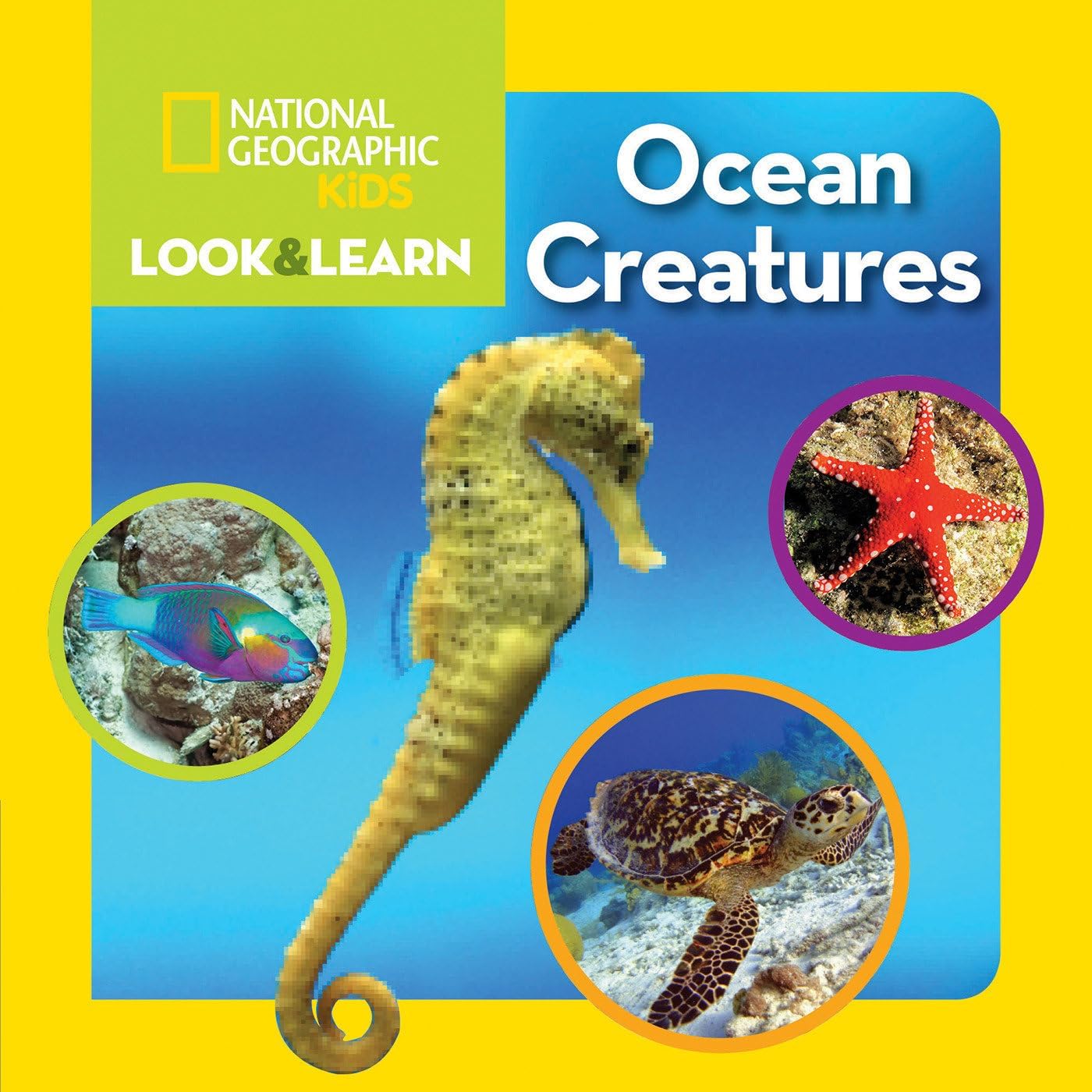 National Geographic Look and Learn: Ocean Creatures