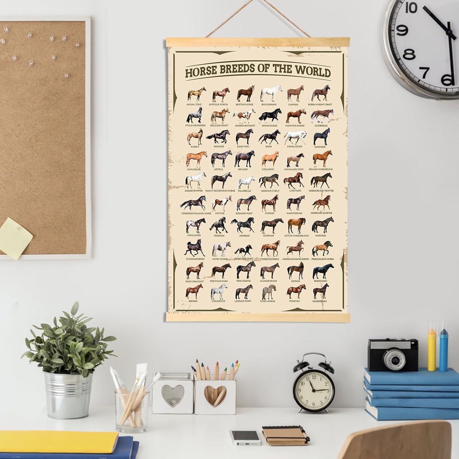 EIHFHIE Horse Gifts for Girls Horse Poster Horse Knowledge Horse Breeds of The World Poster Horse Pictures Wall Decor Gifts for Horse Lovers 16x25 In