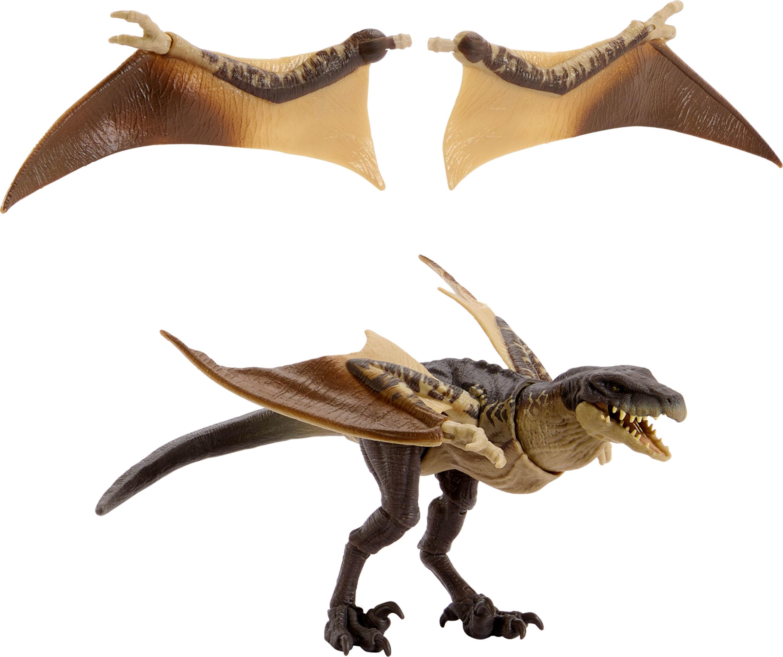 その他 Mattel Jurassic World Hammond Mutadon Mattel Jurassic World Hammond Collection Mutadon, Figures - Amazon