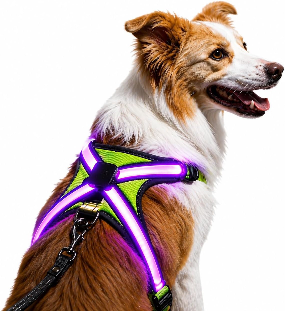 Light Up Dog Harness Type-C Rechargeable LED Dog Harness with RGB Multi-Colour Lighting Mode & 500mAh Battery, 500m Visible Waterproof Glow in The Dark Safety Vest for Night Walking, Avoid Accident L