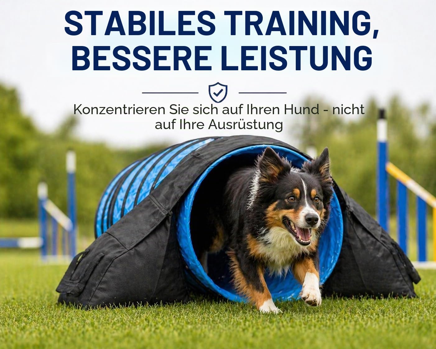 IRSTBL - Hunde Agility Tunnel Satteltaschen & Sandsäcke (2er Set) - Schwerlast wasserdichte Gewichte für 45-61cm Tunnel - 9kg je Seite - Inklusive Trainingspfeife