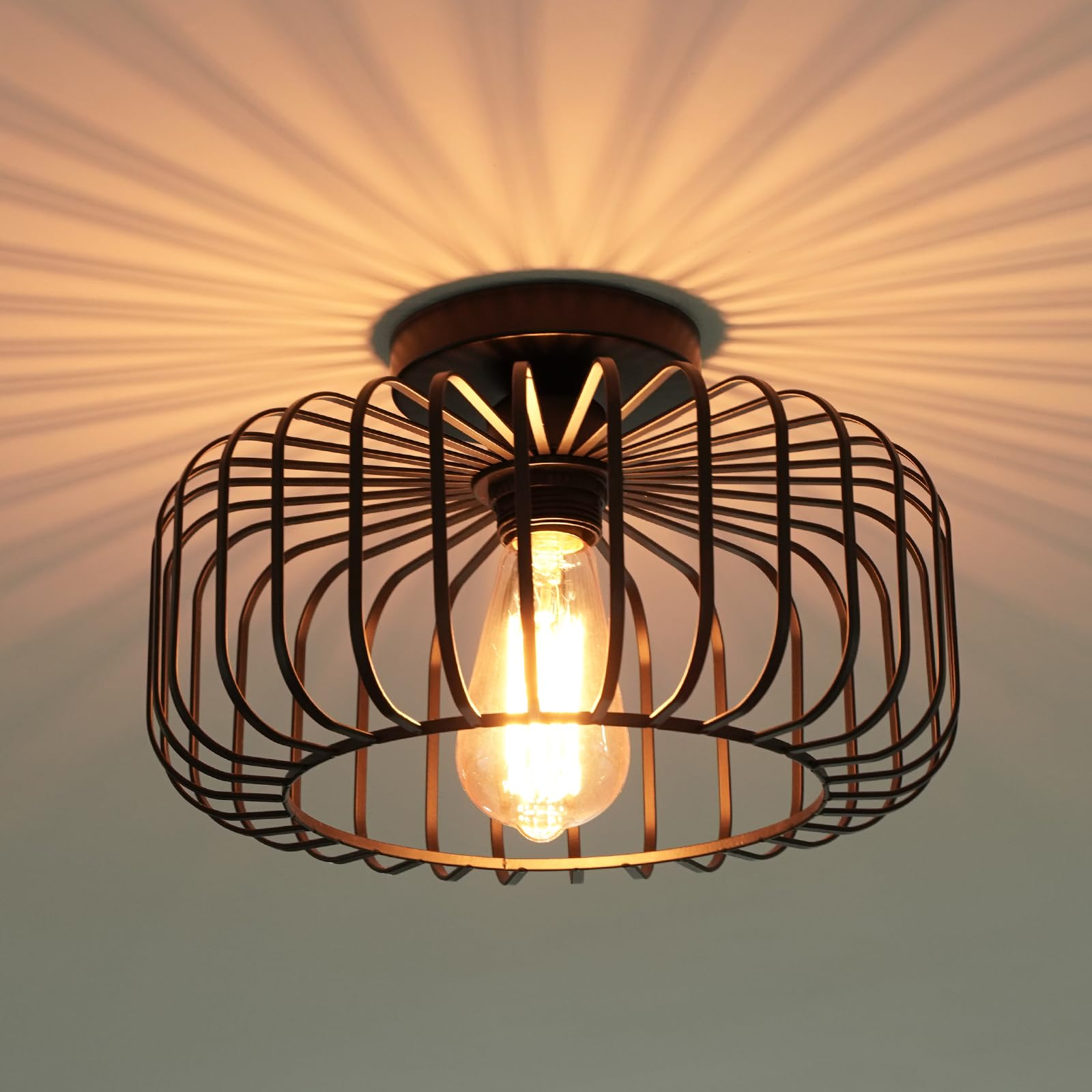 FRIDEKO HOME Deckenlampe Schwarz Modern Deckenlampe aus Metall E27-Fassung,1 Flammige Runde Lampenschirm Hängelampe für Küche Flur Wohnzimmer Schlafzimmer Esszimmer (Schwarz)