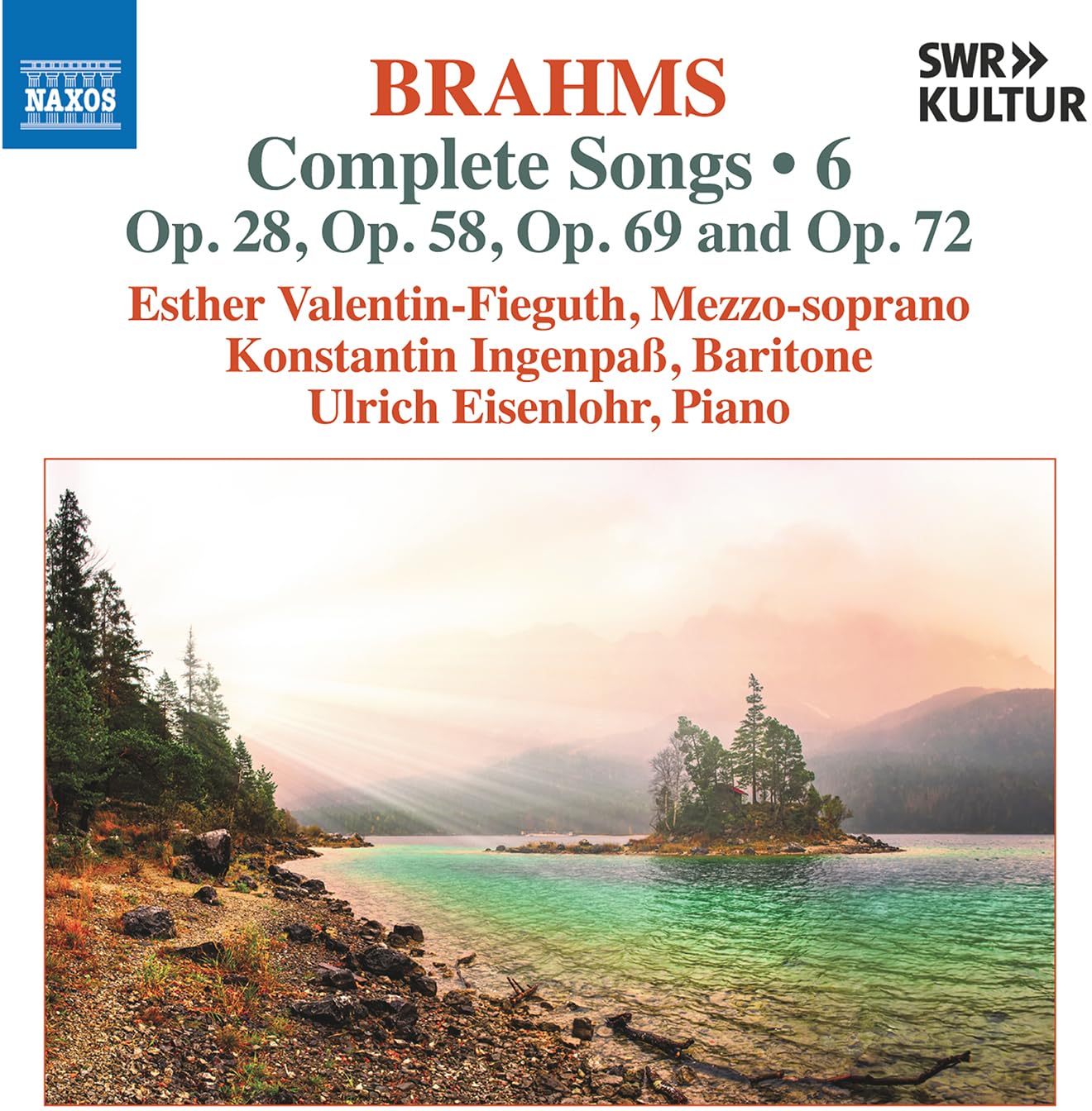 Johannes Brahms: Complete Songs, Vol. 6 (Op. 28, Op. 58, Op. 69 and Op. 72)